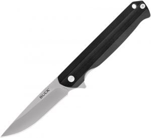 Buck Langford Linerlock (3.38″)