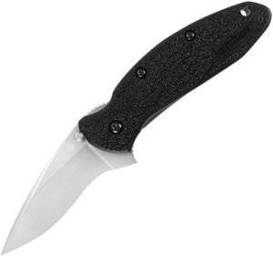 Kershaw Scallion Linerlock A/O Black (2.5″)