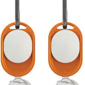 UST Light A Long Bear