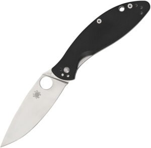 Spyderco Astute Linerlock (3)